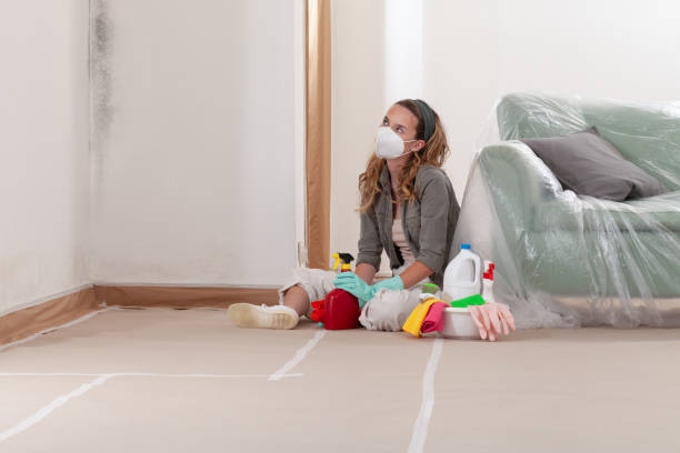 Reliable Commercial Mold Remediation contractor in Dunkirk, MD by WQB Mold Removal